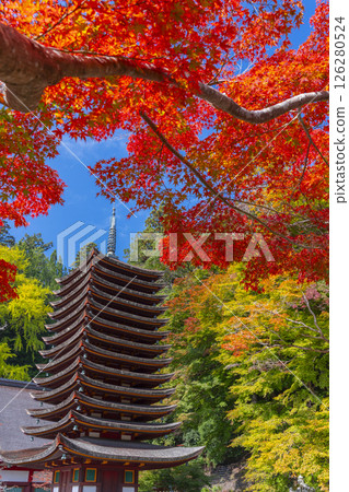 Tanzan Shrine: Thirteen-story pagoda surrounded by autumn leaves 126280524