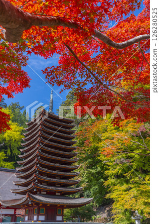 談山神社:紅葉環繞的十三重塔 談山神社:紅葉環繞的十三重塔 126280525