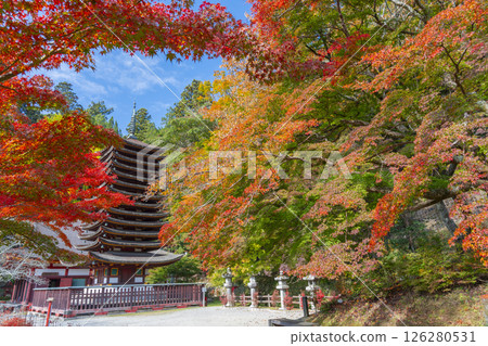 Tanzan Shrine: Thirteen-story pagoda surrounded by autumn leaves Tanzan Shrine: Thirteen-story pagoda surrounded by autumn leaves 126280531