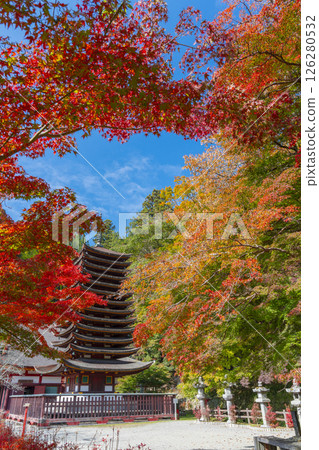 Tanzan Shrine: Thirteen-story pagoda surrounded by autumn leaves 126280532