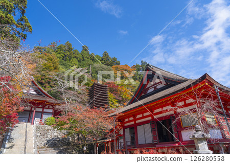 Tanzan Shrine: The main hall, thirteen-story pagoda, and shrine worship hall surrounded by autumn leaves 126280558