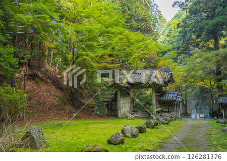 大仙神社東大門 126281376