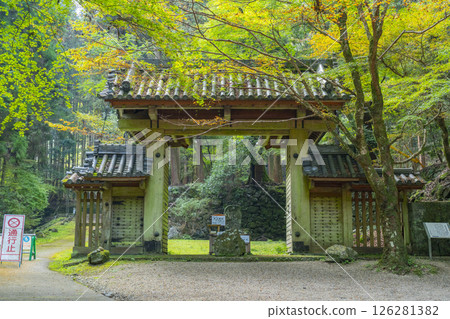 Daisen Shrine Dongdaemun 126281382