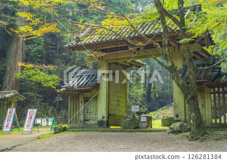大仙神社東大門 126281384
