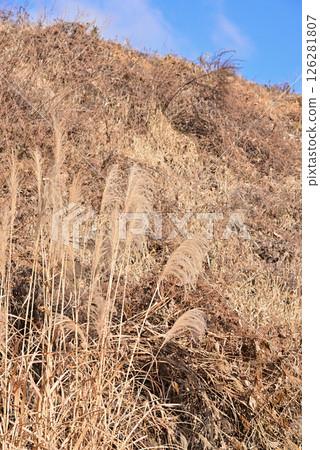 Fall landscape Fall landscape 126281807