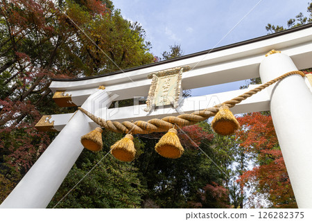 晴朗的秋日里，秩父寶登山神社第二座鳥居的特寫 126282375