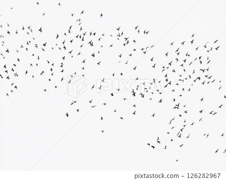 一群黑鳥在白色背景上飛翔的剪影般的抽象視覺 126282967