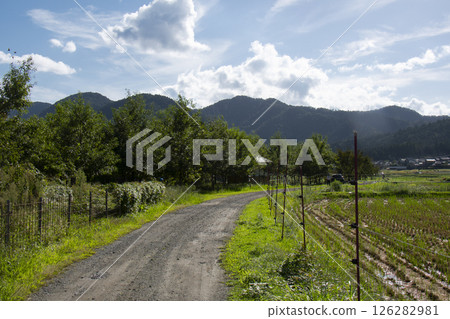 夏日清爽的田園風光 夏日清爽的田園風光 126282981