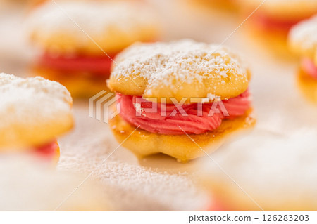 A single lemon spritz cookie sandwich with cranberry buttercream, dusted with powdered sugar. The soft, golden cookie contrasts with the vibrant pink filling, creating a delicate and festive dessert. A single lemon spritz cookie sandwich with cranberry buttercream, dusted with powdered sugar. The soft, golden cookie contrasts with the vibrant pink filling, creating a delicate and festive dessert. 126283203