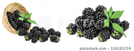 blackberry with leaf in in a wicker basket isolated on a white background closeup. 126283259
