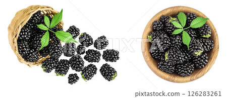 blackberry with leaf in in a wicker basket and wooden bowl isolated on a white background. Top view. Flat lay 126283261