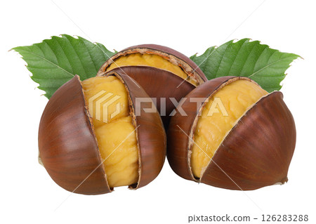 roasted chestnut isolated on white background wit full depth of field. 126283288