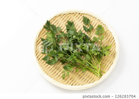 白色背景中的義大利歐芹 126283704
