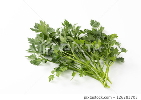 白色背景中的義大利歐芹 白色背景中的義大利歐芹 126283705