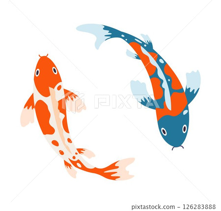 Swimming koi carp fish. Japanese koi carp fish isolated on white, cute oriental fish koi, swimming carps. Asian colorful koi fish. Vector illustration. 126283888