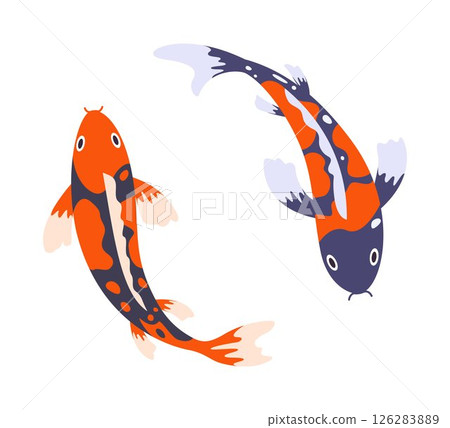 Swimming koi carp fish. Japanese koi carp fish isolated on white, cute oriental fish koi, swimming carps. Asian colorful koi fish. Vector illustration. 126283889