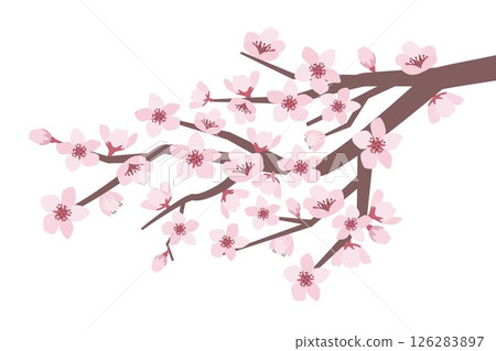 Sakura branch. Blossom cherry branch flowers, Asian flowering peach Japanese tree in Korea or Chinese, pink bud flower spring blossoming. Vector illustration. 126283897