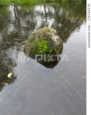 一塊長滿青苔的小石頭漂浮在水中 126284126