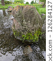A large stone with moss floating on the water 126284127