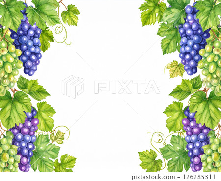 Grape watercolor frame 126285311
