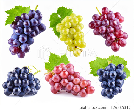 Colorful grapes set 126285312