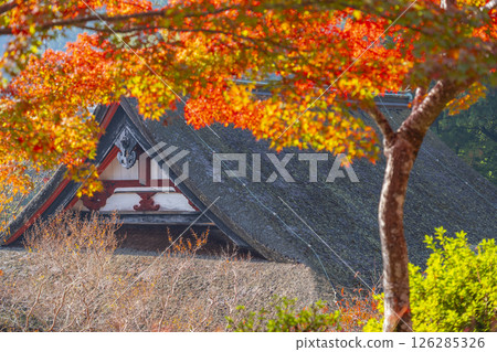 談山神社：被紅葉包圍的神社 126285326