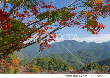 從談山神社巴士站可以欣賞到色彩繽紛的山脈美景 126285335