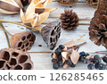 Pine cones and dried flowers made from natural materials 126285465