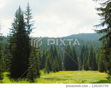 Experience the Untouched Beauty of Durmitor National Park in Montenegros Stunning Mountains 126285730