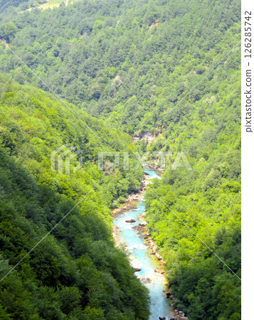Explore the Stunning Tara River Canyon in Montenegros Lush Natural Landscape 126285742