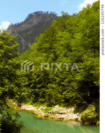 Exploring the Lush Beauty of Tara River Canyon in Montenegro Under a Clear Blue Sky 126285746