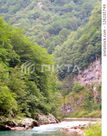 Exploring the Natural Beauty of Tara River Canyon in Montenegro Surrounded by Lush Greenery 126285749