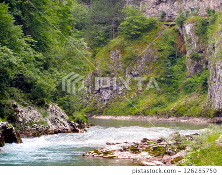 Explore the Serene Beauty of Tara River Canyon in Montenegro for an Unforgettable Travel Experience 126285750