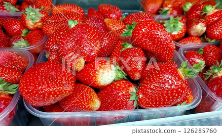 Fresh Strawberries Packed in Clear Box for Sale at Local Market During Summer Season 126285760