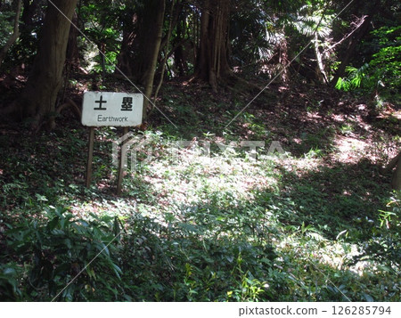 Earthworks at the National Museum of Nature and Science's Nature Study Center Earthworks at the National Museum of Nature and Science's Nature Study Center 126285794