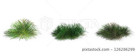wild field grass with a shadow under it, isolated on a transparent background, 3D illustration, cg render wild field grass with a shadow under it, isolated on a transparent background, 3D illustration, cg render 126286299
