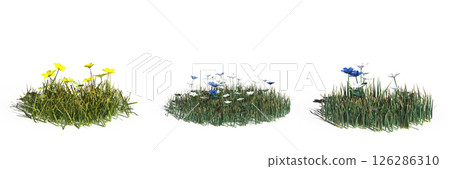 wild field grass with a shadow under it, isolated on a transparent background, 3D illustration, cg render wild field grass with a shadow under it, isolated on a transparent background, 3D illustration, cg render 126286310