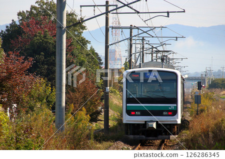 Mito Line E501 Series Train (5-car train: Oyama⇔Tomobe-Mito) 126286345