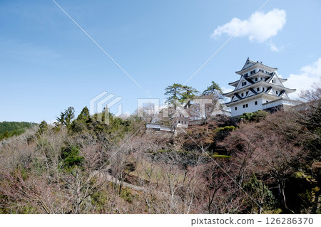 岐阜縣上市_從郡上市八幡城瞭望台眺望郡上市八幡城2_2025-4 126286370