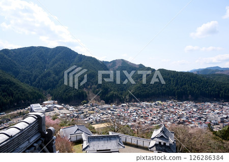 岐阜縣郡上市_郡上八幡城南景_2025年4月3日 126286384