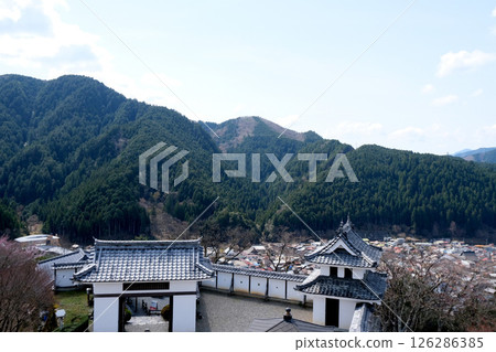 岐阜縣上市_郡上八幡城南景_2025年4月 126286385