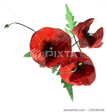 wild field grass, top view, isolated on a transparent background, 3D illustration, cg render wild field grass, top view, isolated on a transparent background, 3D illustration, cg render 126286586