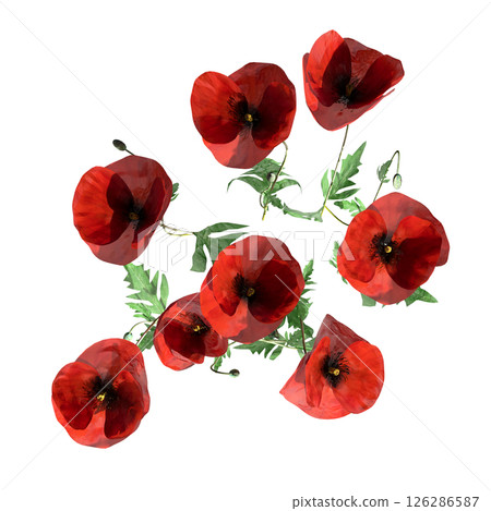 wild field grass, top view, isolated on a transparent background, 3D illustration, cg render wild field grass, top view, isolated on a transparent background, 3D illustration, cg render 126286587