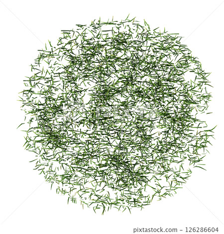 wild field grass, top view, isolated on a transparent background, 3D illustration, cg render 126286604