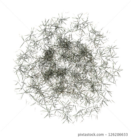 wild field grass, top view, isolated on a transparent background, 3D illustration, cg render 126286633