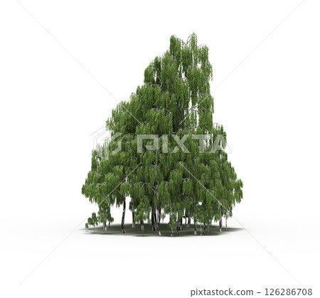 group of trees isolated on a transparent background, big trees in the forest, 3D illustration, cg render group of trees isolated on a transparent background, big trees in the forest, 3D illustration, cg render 126286708
