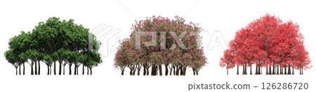 group of trees isolated on a transparent background, big trees in the forest, 3D illustration, cg render 126286720