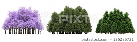 group of trees isolated on a transparent background, big trees in the forest, 3D illustration, cg render 126286721