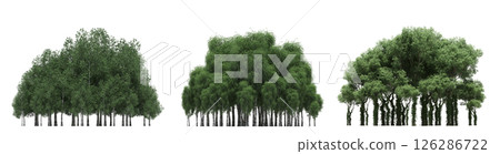 group of trees isolated on a transparent background, big trees in the forest, 3D illustration, cg render 126286722