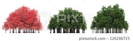 group of trees isolated on a transparent background, big trees in the forest, 3D illustration, cg render 126286725
